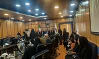 تقدیر از مامای نمونه و مسئول جوانی جمعیت شبکه در دانشگاه
