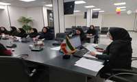 برگزاری کارگاه آموزشی پیشگیری از سقط خود به خودی جنین