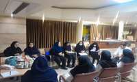 انجام پایش گروهی ستاد شبکه از مرکز خدمات جامع سلامت درکه