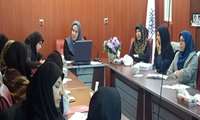برگزاري كارگاه آموزشي طراحي بسيج اطلاع رساني در شبكه  