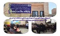 کارگاه SARA با حضور فعال کارکنان شبکه بهداشت و درمان شمیرانات برگزار شد