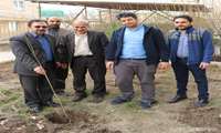 گرامیداشت روز درختکاری
