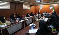 برگزاری جلسه آموزشی خدمات نوین سالمندی در شبکه بهداشت و درمان شمیرانات