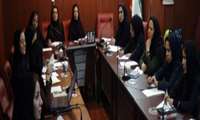 برگزاري كارگاه مدیریت و بهره وری نیروی انسانی در شبكه بهداشت و درمان شميرانات