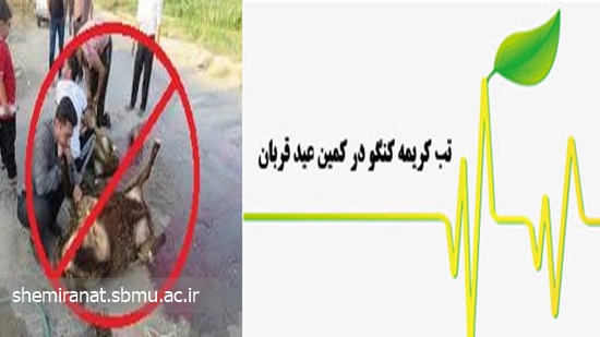 تب کریمه کنگو در کمین عید قربان 